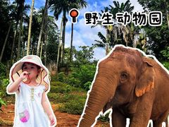 -海南热带野生动植物园