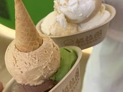 -极拉图·现制冰淇淋(大卫城店)