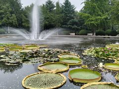 -石家庄市植物园