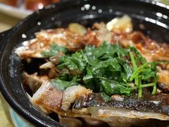 -肥舅父農莊