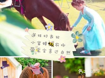 遛弯好去处—小蜜蜂农场 带宝宝亲近自然