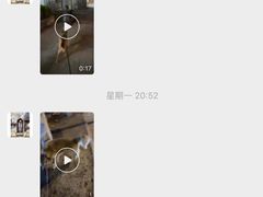 -派多格宠物(御景湾店)