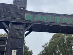 -溱湖国家湿地公园