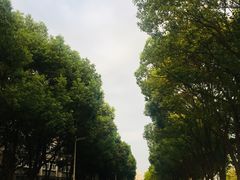 -南京财经大学(仙林校区)