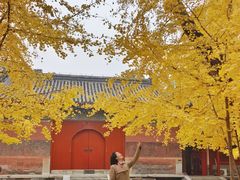 -承恩寺