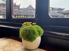 -豫园湖心亭茶楼
