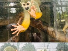 -南京金牛湖风景区