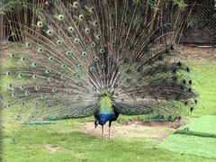 -深圳野生动物园