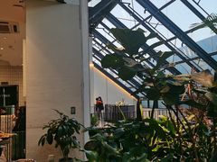 -大树餐厅(红旗街万达店)