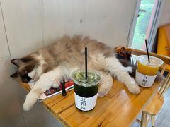 -灯塔咖啡馆BOOK·Coffee Shop