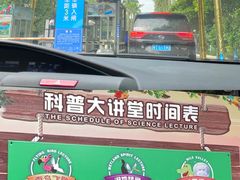 -广州长隆飞鸟乐园