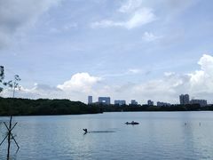 -海珠湖公园