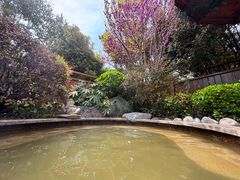 -郑州银基黄帝宫御温泉