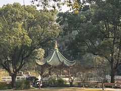 -申粤轩酒楼·三十年粤菜经典(丁香花园店)