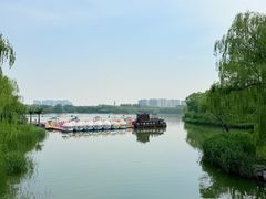 -大兴滨河森林公园