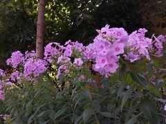 -意大利农场度假村