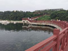 -养马岛旅游度假区
