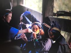 -苗家大院酸汤鱼(贵阳北站店)