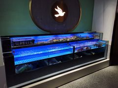 -鸽子侯·家宴·平价海鲜(市图书馆店)
