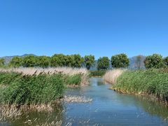 -野鸭湖国家湿地公园