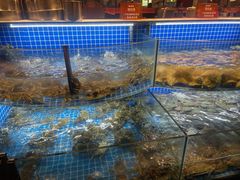 -星伦多自助料理·涮烤一体(虹悦城店)