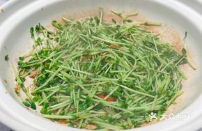 Steamed Fresh Pea Shoots