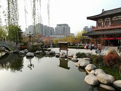 -西安青龙寺遗址景区