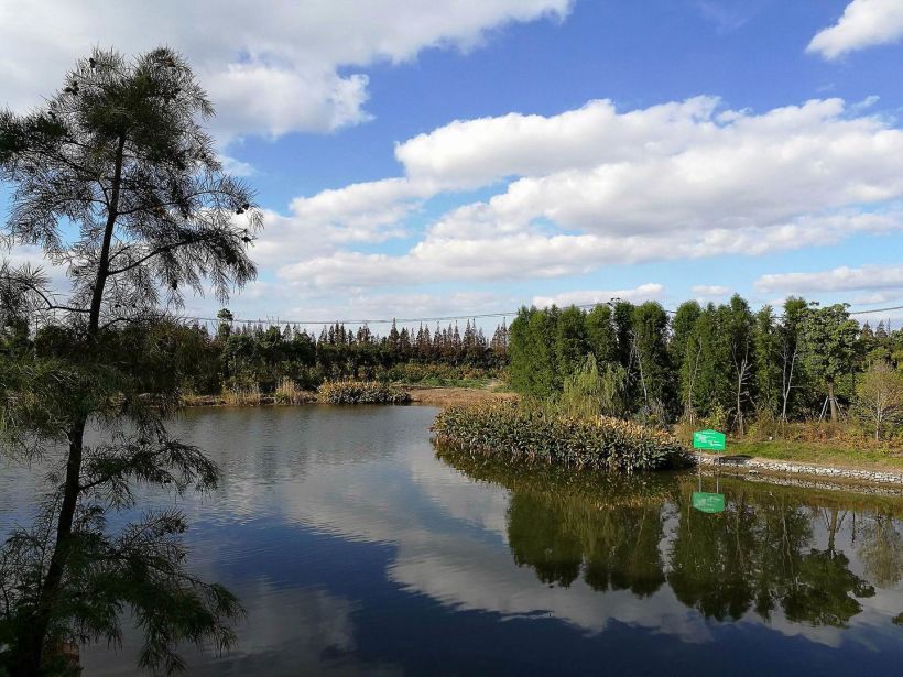 景點名:長興島郊野公園