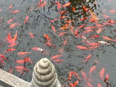 -红螺寺