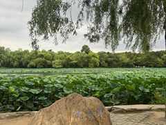 -长春市南湖公园