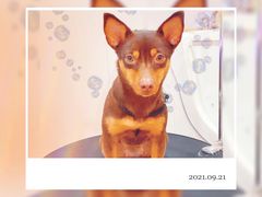 -佐罗家宠物馆·猫文化馆(紫霞路店)