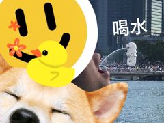 -鱼尾狮公园