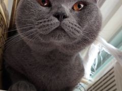 -花园街