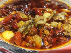 香辣盆盆牛蛙-李叔叔虾蟹大排档(青羊店)