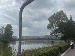 -洋湖国家湿地公园