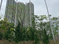 -九龙公园