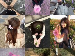 -西北大学(桃园校区)