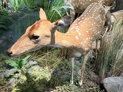 -陕西自然博物馆