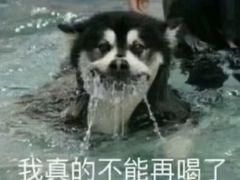 -五台山游泳馆