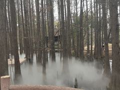 -东湖落雁景区