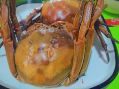 -巢湖名吃·徽府农家菜(半汤店)