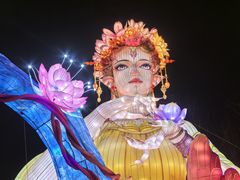 -武汉园博园(武汉自然博物馆)