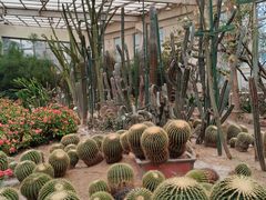 -石家庄市植物园