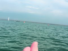 -碧海金沙