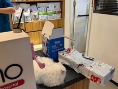 -御宝贝·A梦猫科宠物医院(国际猫友好医院)