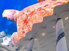 -三亚西岛海洋文化旅游区