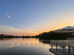 -大兴滨河森林公园