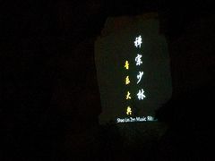-禅宗少林·音乐大典