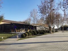 -春晖园度假酒店温泉