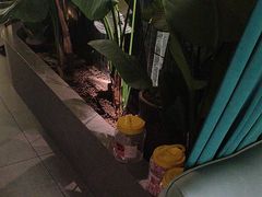 -涟LIAN·泰式按摩·MASSAGE·SPA(华强北店)